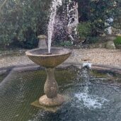 IMG_3572